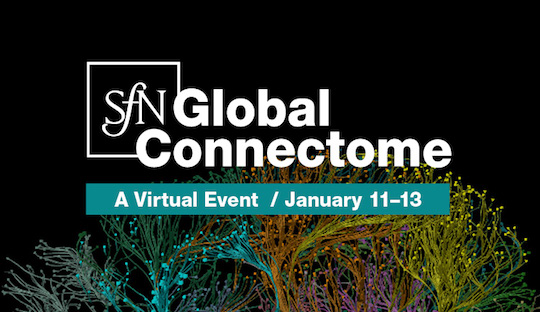 SfN Global Connectome 2021
